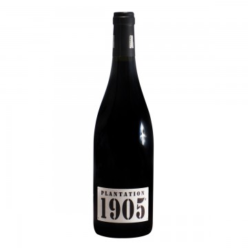 Domaine La Tour Boisée Plantation 1905 vin de table 